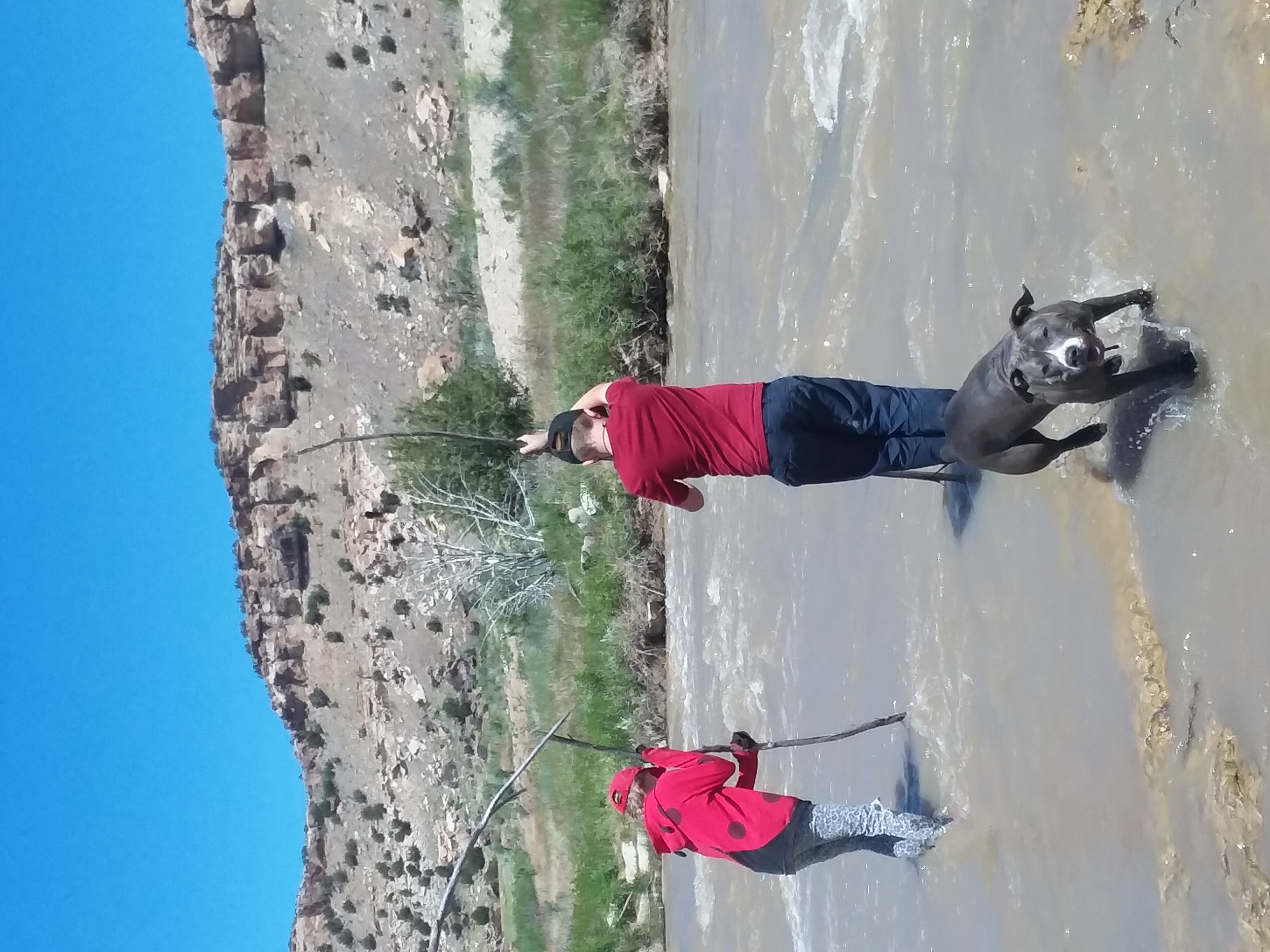 Picketwire Canyon Dinosaur Tracks seconews.org