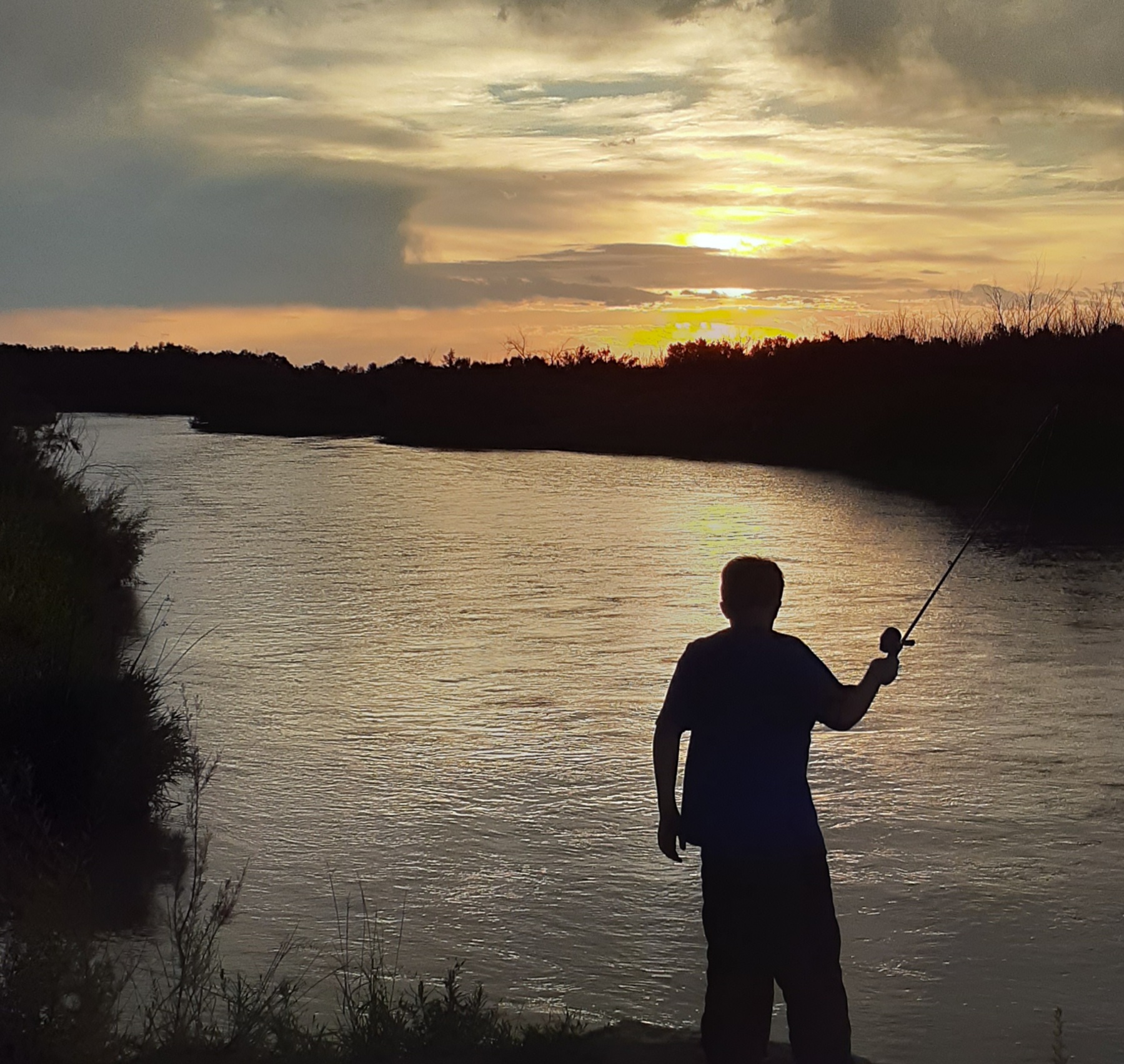 Railcar Graffiti art seconews.org