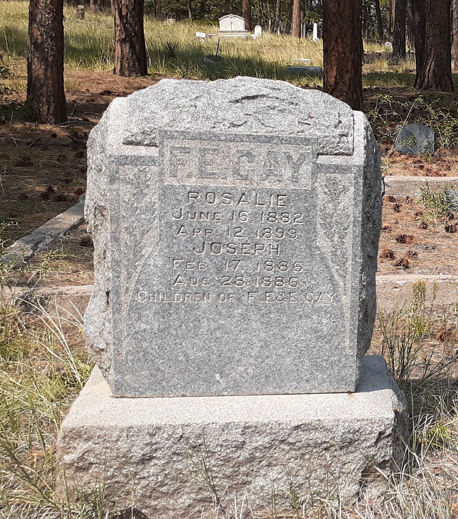 Rosita Cemetary seconews.org