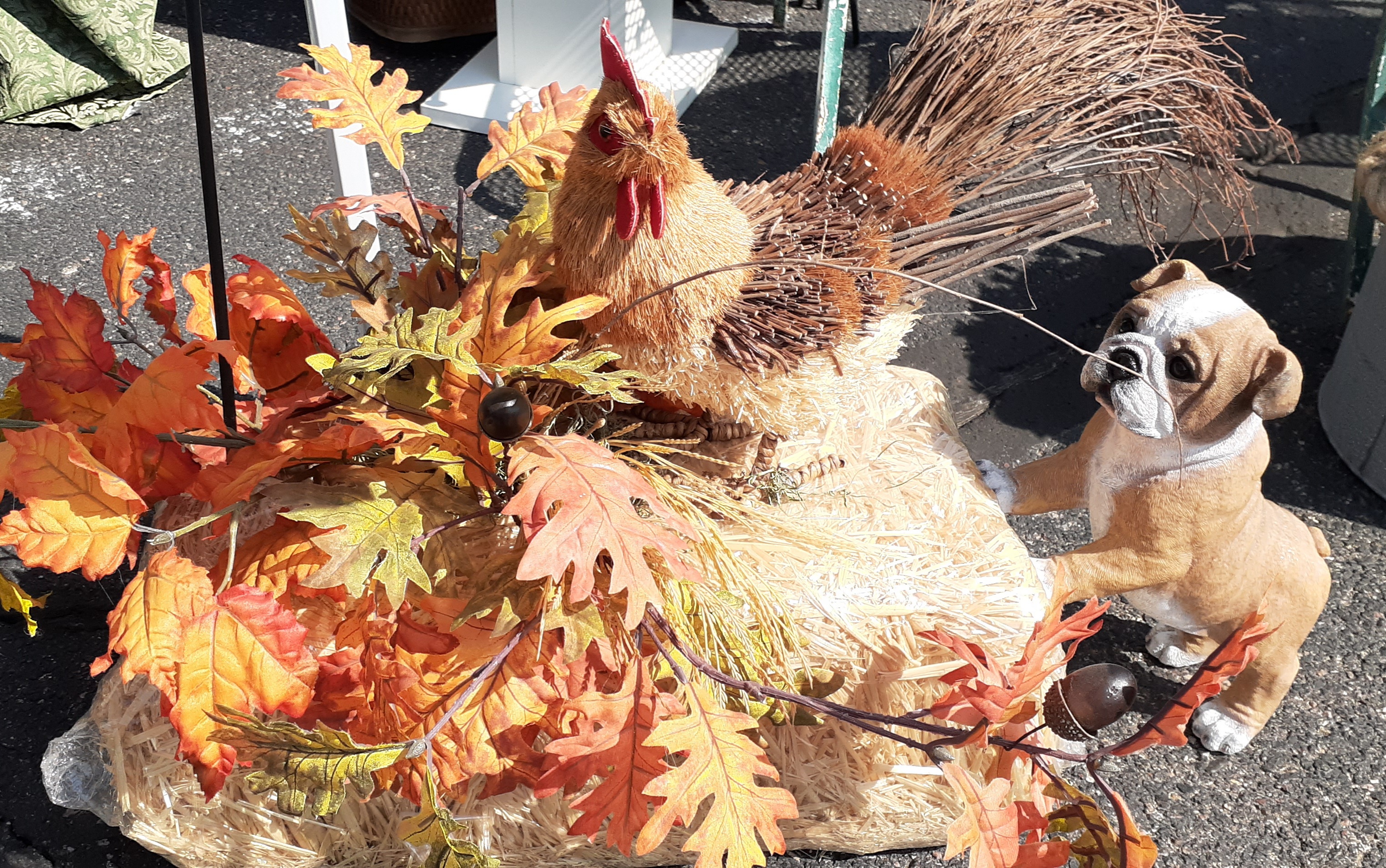 Estate store Fall Festival seconews.org