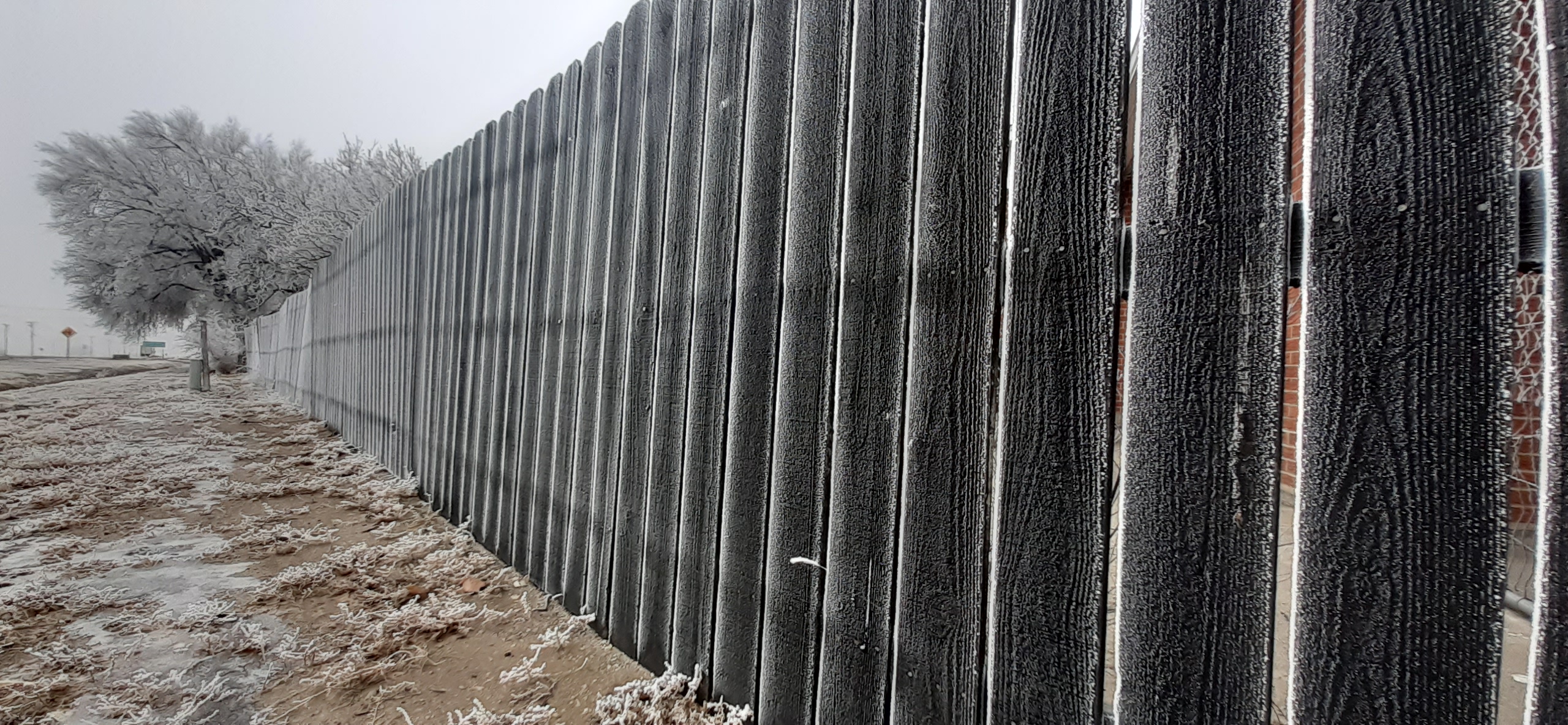 Frost Swink Lions seconews.org