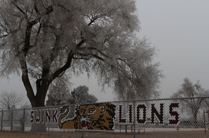 Swink Lions Frost seconews.org